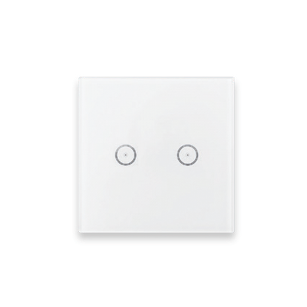 Smart Home Zigbee Smart Switch 2 Dev
